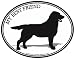 LABRADOR RETRIEVER - MY BEST FRIEND - Dog - Oval-Pet-Decal-Sticker- Can be used for Cars, Trucks, Notebooks etc.