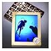 Scuba Diving 1 Lb. Assorted Chocolates