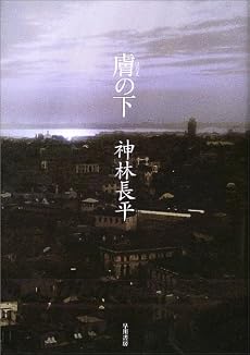 膚(はだえ)の下