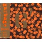 Click here to buy Queer Pt.1 by  Garbage .