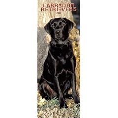 Labrador Retrievers Slimline Calendar: 2003
