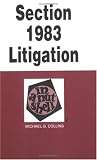Section 1983 Litigation in a Nutshell (Nutshell Series)