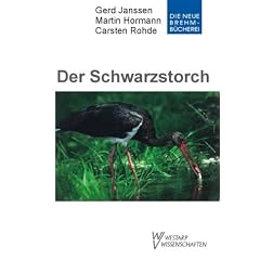 Der Schwarzstorch: Ciconia nigra