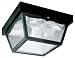 "WESTINGHOUSE" 66823 OUTDOOR POLY CEILING FIXTURE