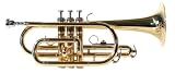 Windsor Bb Cornet outfit with case
