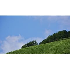 Siwo - Design Portemonnaie Motiv Landschaft / Natur (648)