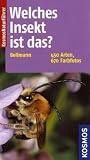 Welches Insekt ist das?: 450 Arten - 