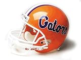 Florida Gators Full Size Deluxe Replica NCAA Helmet by Riddell