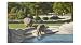 Hippos in Zoo, Detroit, Michigan Architecture Art Poster Print, 17x11