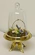Glass Dome Bell Jar Cloche Terrarium with Decorative Brass Base