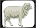 Mouse Pad with male, wool, domestic, sheep, bagge, ram, barnyard, livestock, animal