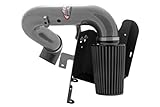 AEM 21-8211DC Gun Metal Brute Force Intake System