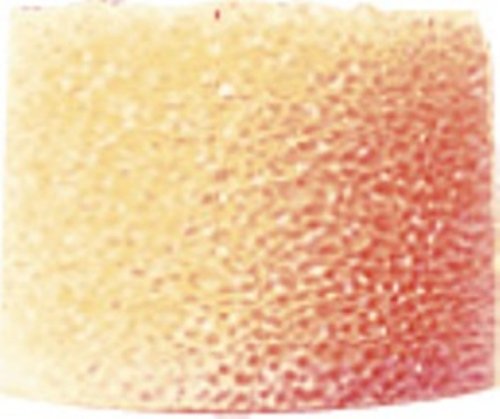 Childrens Toyshop  Electronics : Shure PA752M Medium Orange Foam Sleeves for E2c / E2g / i2c / QuietSpot (5 Pairs)