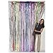 Fun Express Metallic Rainbow Fringe Curtains for Party (1 Piece) Party Decor - Door Decor - Door Borders & Curtains
