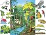 Rainforest Animals Flannelboard Figures w/Unmounted Flannelboard - Pre-Cut