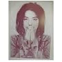 Bjork Debut Poster Sugarcubes 24 By 36