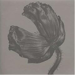 Release [VINYL]