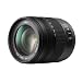 Panasonic H-VS014140E Superzoom-Objektiv Lumix G Vario F4.0-5.8/14-140 mm (62 mm Filtergewinde, bildstabilisiert) schwarz