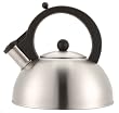 Copco Strata Satin Finish Stainless Steel Whistling Teakettle
