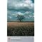 15 Amazing Steinbeck Books