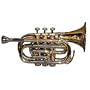 Brass Pocket Trumpet