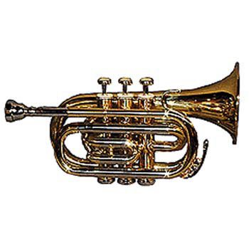 Brass Pocket Trumpet