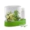 Mini Hydroponic Greenhouse