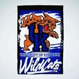 Kentucky Wildcats 27x37 Banner