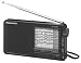 Panasonic RFB11 Compact Shortwave Radio