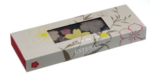 ESTEBAN エスプリ ド テ ギャレボックス