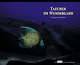 Kalender, Tauchen im Wunderland - 