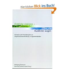 Einblicke riskieren - Ausblicke wagen. Konzepte und Praxisbeispiele zur Organisationsentwicklung in Jugendverb�nden