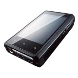 iBasso HDP-R10