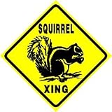 SQUIRREL CROSSING sign * street animal zoo