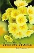 The Primrose Promise