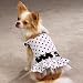 XXS Contrasting Polka Dot Springtime Sundress Dog Dress