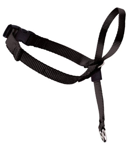 Pet Safe EW-HC-S-BK-45 Easy Walk Headcollar Small, schwarz im Preisvergleich 