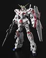 MG 1/100 RX-0 ��˥����󥬥���� (��ư��Υ������UC)