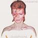 Aladdin Sane [Vinyl]