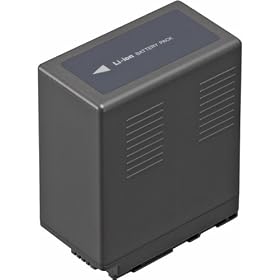 VW-VBG6 Lithium Ion Battery-BX5471