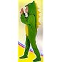Dinosaur fancy dress costume Age 3