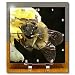 Honey Bee on Lemon Blossom - bee, blossom, flower, honey bee, honeybee, insect, lemon tree - 6x6 Desk Clock