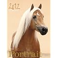 Pferde Portrait 2012