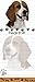 E&S Pets Magnetic Die-Cut Notepad, Beagle