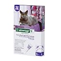Bayer Advantage II Purple 4-Month Flea Control for Cats 9+ lbs.