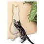 Trixie 43112 Kratzbrett Katze, 35 � 69 cm, beige von Trixie