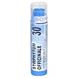 Boiron Homeopathic Medicine Symphytum Officinale, 30C Pellets, 80-Count Tubes (Pack of 5)