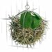 Large Hay Manger Food Ball for Rabbit Guinea Pig Feeding Fun