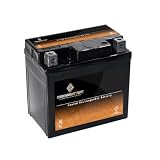 Battery YTX5L-BS Honda Ruckus CRF150 CRF230 NS50