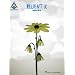 Relient K - MMHMM